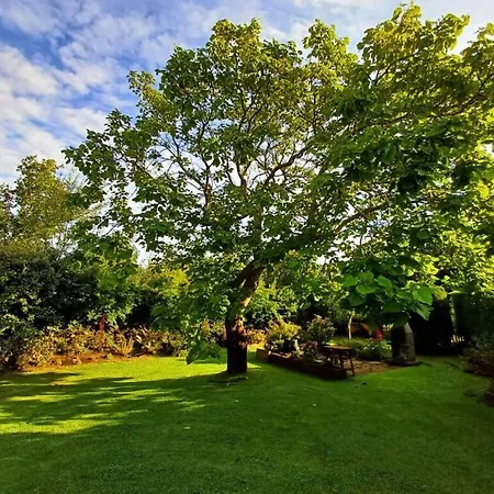 Huijsmansverhuur Type De Luxe Haringvliet 173 *