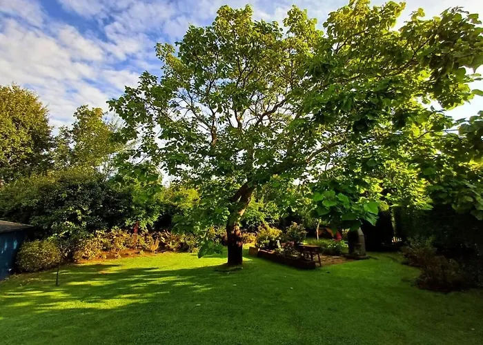 Huijsmansverhuur Type De Luxe Haringvliet 173 *